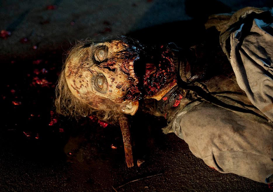 The Walking Dead Internment Photo 7