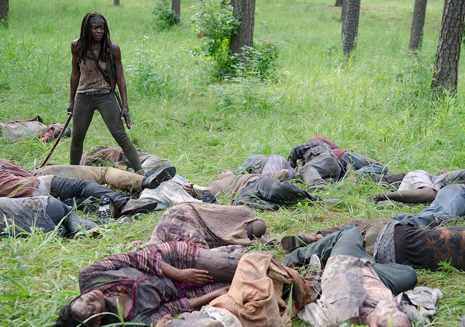 The Walking Dead After Photo 6