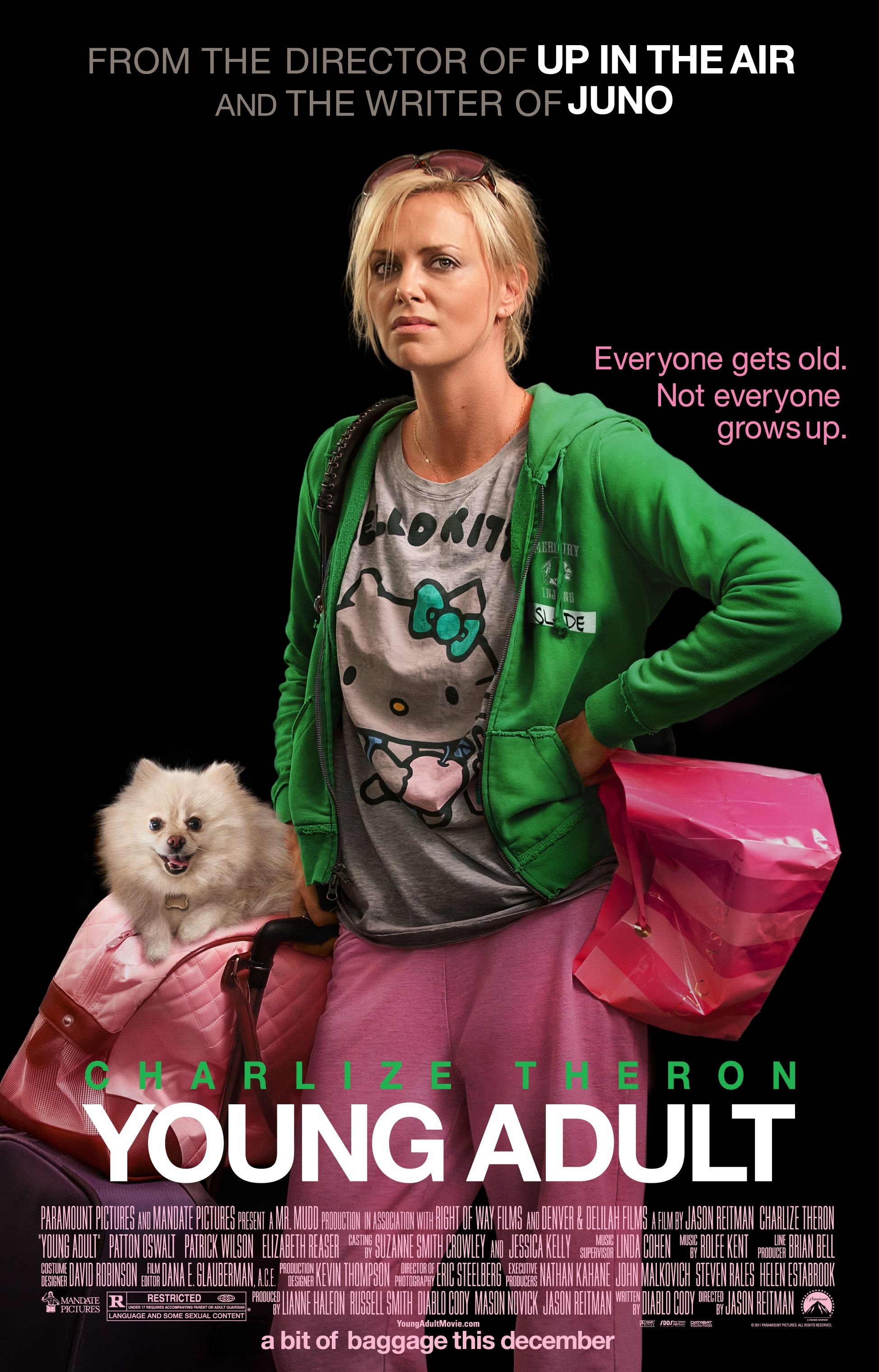 Young Adult Poster #2