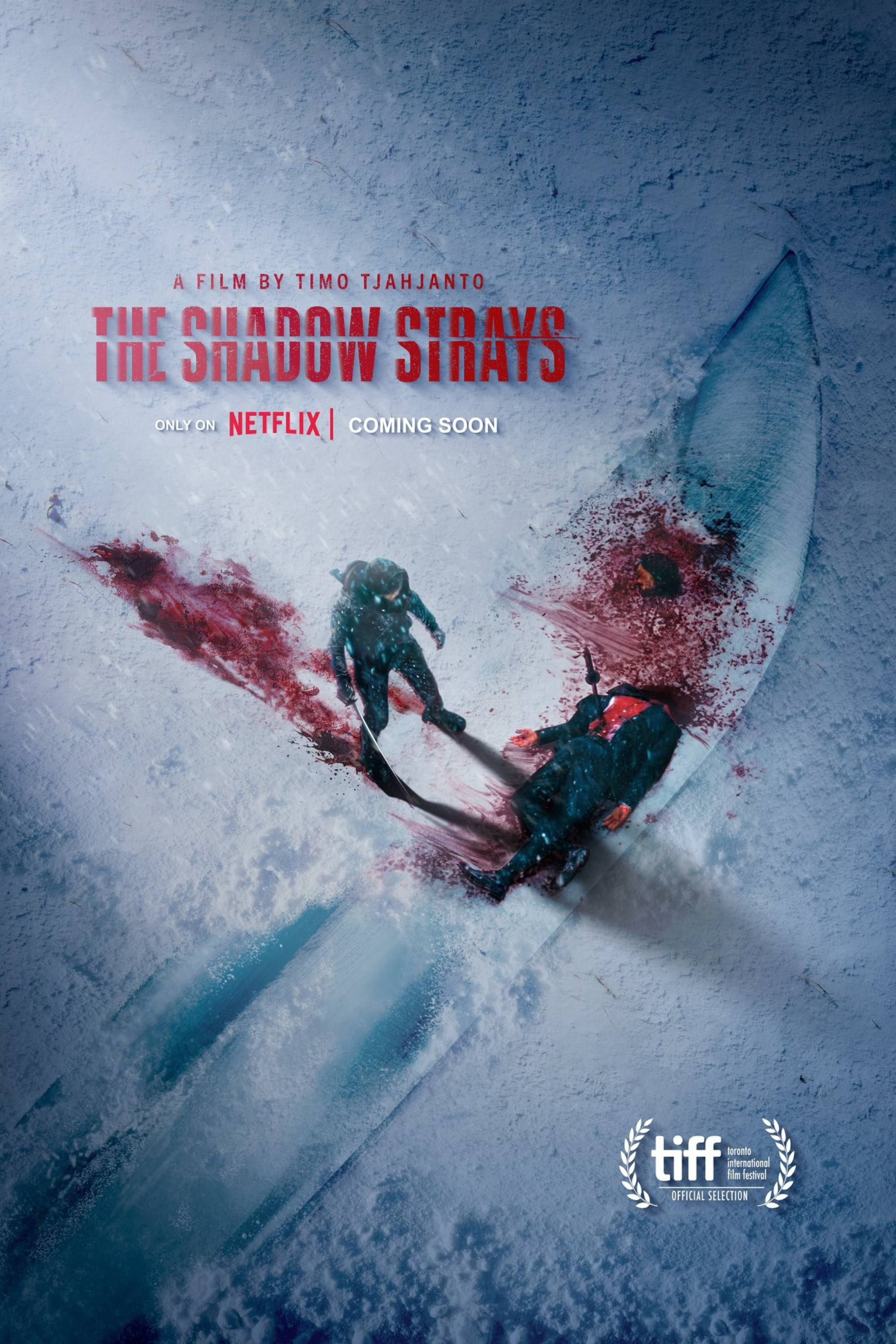 Netflix Action Thriller The Shadow Strays Gets Exciting Sequel Update