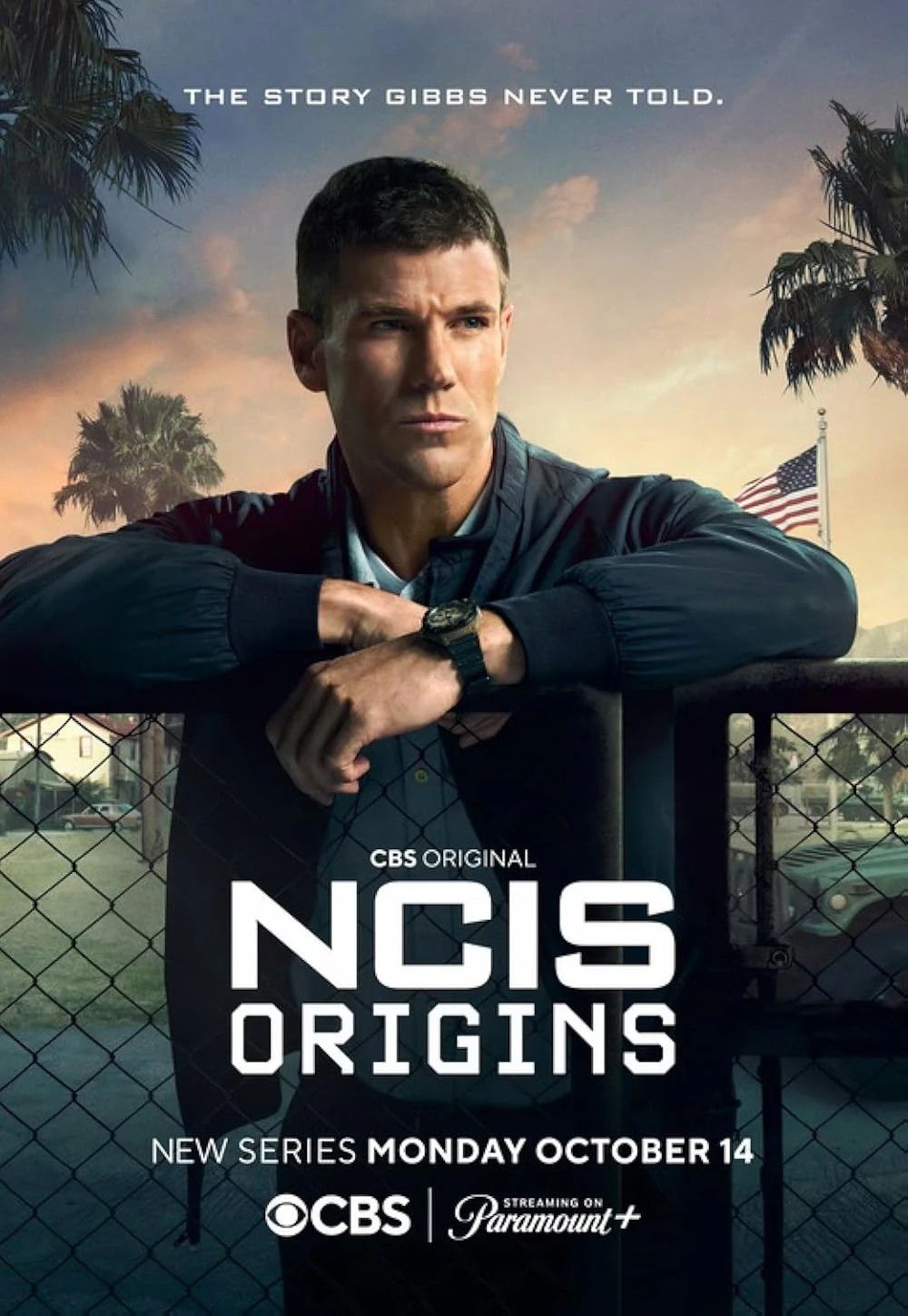 ncis-origins-poster.jpg