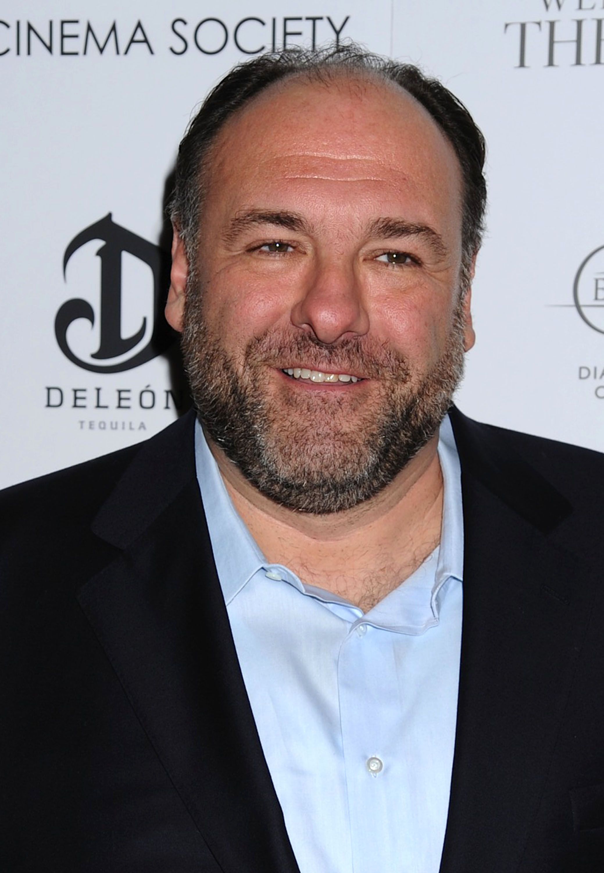 Why was the sopranos such a big deal 
