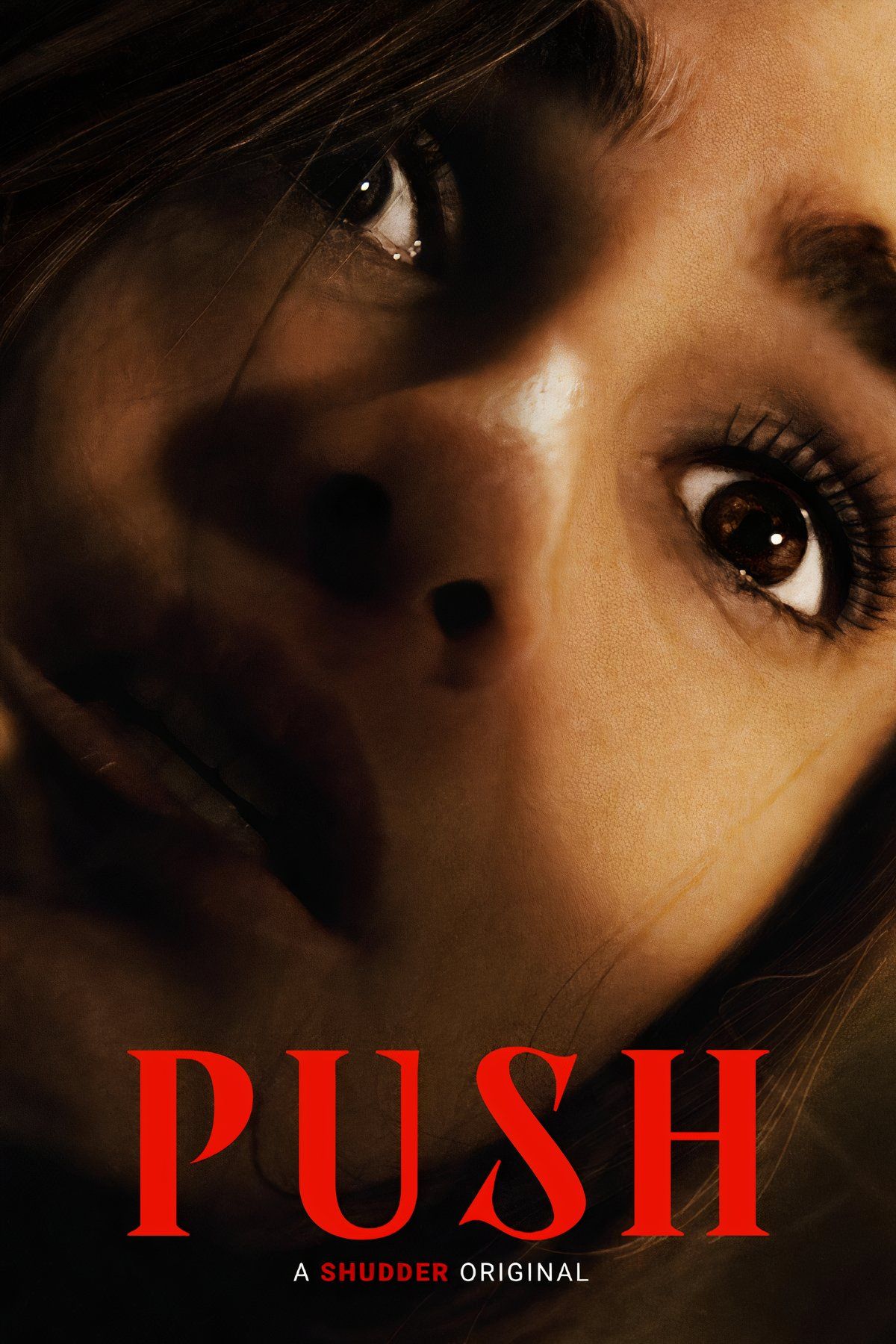 push-poster.jpg