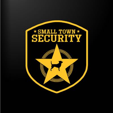 Small Town Security